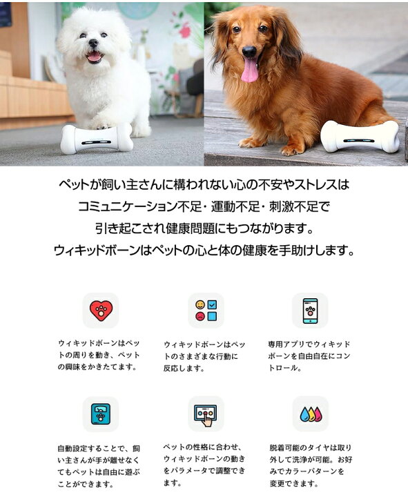 楽天市場 ペット おもちゃ ウィキッドボーン 犬 猫 留守番 Wicked Bone 動く おもちゃ ペット 遊ぶ プレゼント 自動 運動 電動 ラジコン スマートフォン スマホ アプリ スマホ操作 Bluetooth 玩具 追いかける 逃げる 犬のおもちゃ 愛犬 愛猫 犬用 猫用 Pet