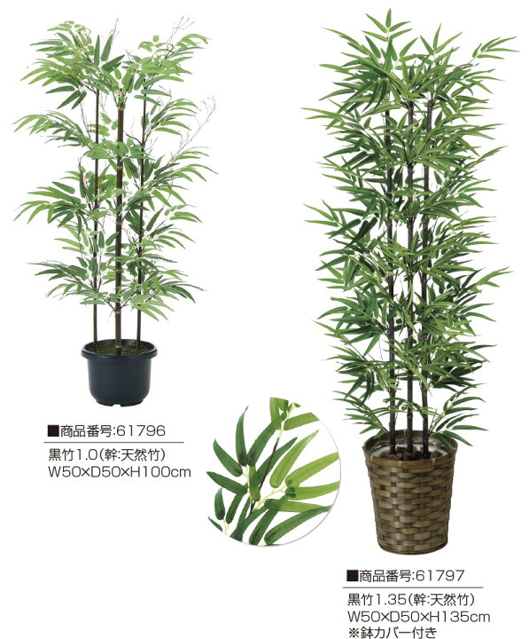 楽天市場】【クーポンで10%OFF】 人工観葉植物 黒竹1.8 フェイク 