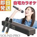 カラオケ 機器 マイク スピーカー 家庭用 サウンドプロ TKMI-002 アンプ テレビ 接続 自宅 カラオケスピーカー 光ケー…