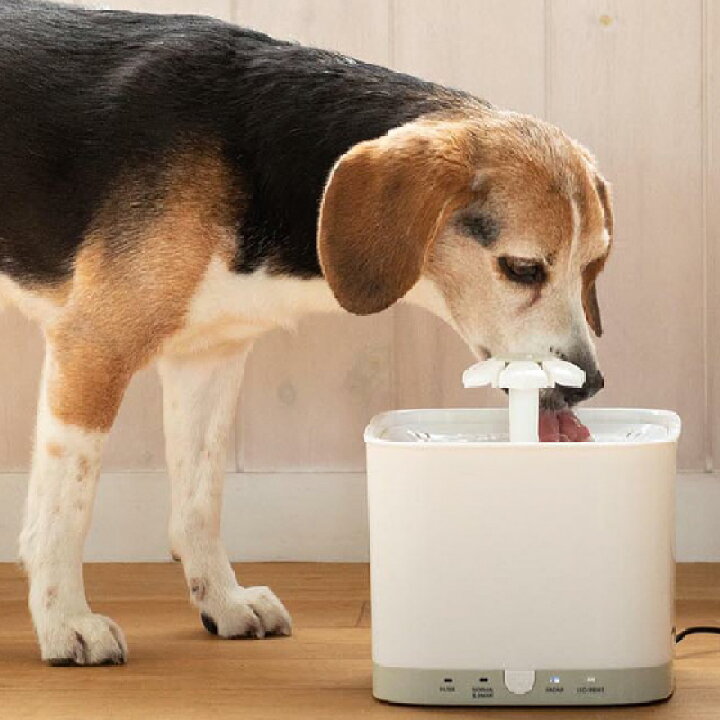 楽天市場 自動給水器 ペット用 犬 猫 クリーンサーバー ペット 水飲み 水やり ペット給水器 水飲み器 循環式給水器 水 ペット 綺麗 自動 給水 器 水器 ウォーターボウル ウォーター 静音 犬用 猫用 Cs 2l やさしさｏｎ ｌｉｎｅ