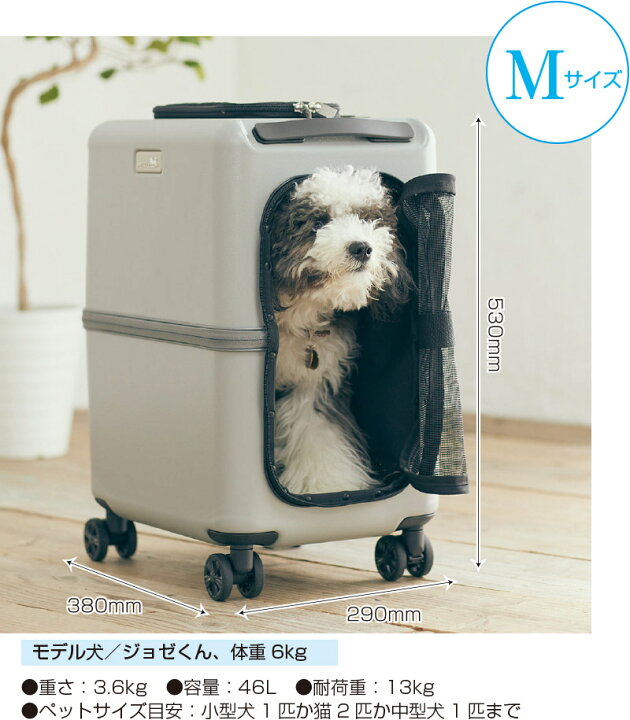 楽天市場】【ポイント10倍＋1000円OFFクーポン付き！】 ペットキャリー 
