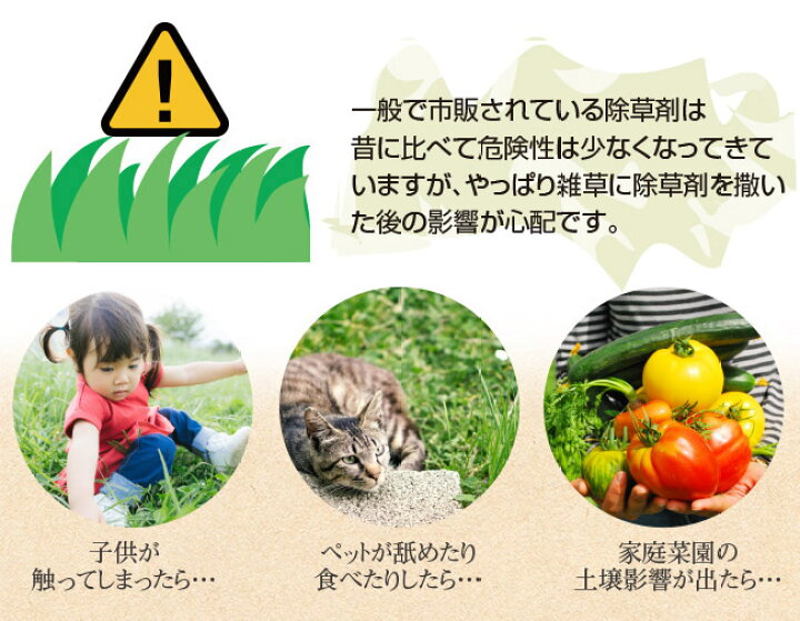 楽天市場 除草剤 安全 草とりバイオくん 2本組 除草剤 送料無料 根まで枯らす 無害 安全な除草剤 除草液 草取り 雑草 枯らす ペット 子供 安全 芝 芝生 草抜き 土 汚さない 雑草取り やさしさｏｎ ｌｉｎｅ