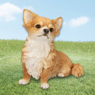 見上げるチワワ 26.8×16×24.5 cm (幅x奥x高)チワワ 本物そっくり リアル 犬 犬型 ドッグ いぬ イヌ ワ…