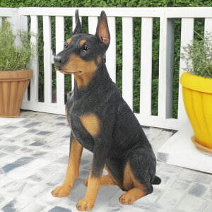 ������h�[�x���}�� �i����j �h�[�x���}�� �{���������� ���A�� �� ���^ �h�b�O ���� �C�k ��������� DOG �A�j�}�� ���� �u�� �u���� �I�u�W�F ���� �f�B�X�v���C �K�[�f�j���O�G�� ���G�� 