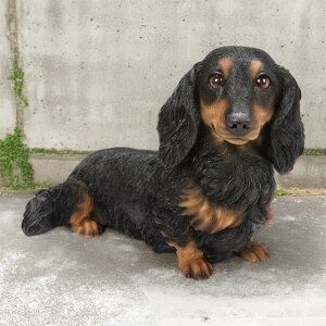 置物 犬 ダックス」の人気商品一覧・価格比較 - 価格.com