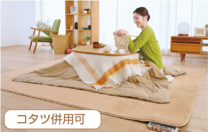 楽天市場】☆2178円 充電式湯たんぽプレゼント中☆ ゼンケン 電気 