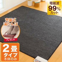 楽天市場】ホット カーペット 電磁波 カット 2 畳の通販