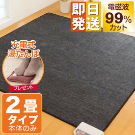【クーポンで11100円OFF！】 ゼンケン 電気ホットカーペット 2畳 電磁波 99％カット 176×176cm 本体のみ ZCB-20S ZENKEN ホットカーペット 2畳用 ホットマット 電気マット 電熱マット 節電 電気カーペット ゼンケンホットカーペット ゼンケンpre pk
