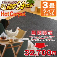 ゼンケン 電気ホットカーペット 3畳 ZCB-30P 電磁波 99％カット 195×235cm 本体のみ ZENKEN ホットカー…