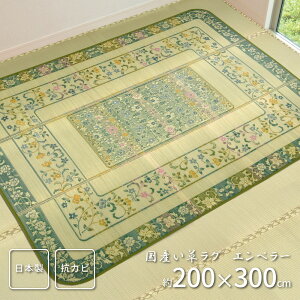 YO (\) 200×300cmi[J[iEisj  J[ybg }bg ~ 䑐 C O  Y100% 200×300 Y~  Y