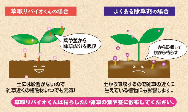 楽天市場】除草剤 安全 草とりバイオくん 2本組 【 除草剤 送料無料 根まで枯らす 無害 安全な除草剤 除草液 草取り 雑草 枯らす ペット 子供 安全 芝 芝生 草抜き 土 汚さない 雑草取り 】 : やさしさON-LINE 楽天市場】除草剤 安全 草とりバイオくん 2本組 【 除草剤 送料無料 根まで枯らす 無害 安全な除草剤 除草液 草取り 雑草 枯らす ペット 子供 安全 芝 芝生 草抜き 土 汚さない 雑草取り 】 : やさしさON-LINE