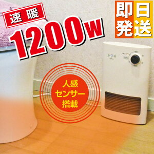 lZT[ q[^[ 1200W gC Eߏ Z~bNq[^[ ^ ʏ gCq[^[ q[^[ gCpq[^[ g lZT[t Eߏq[^[ gCg[ lq[^