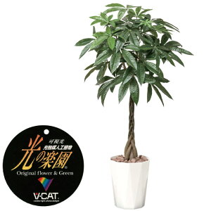 yN[|10%OFFz lHϗtA pL1.25 tFCNO[ ϗtA tFCN lHϗtA ^ G}  CeA A  j    lC C  r