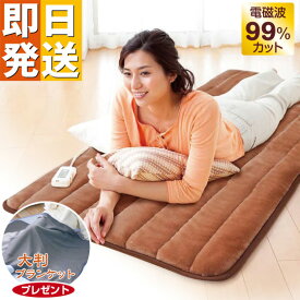 【クーポンで4000円OFF！】 電磁波カット 一人用 電熱マット ホットマット ゼンケン 80×180cm 電熱シート ホットカーペット ZMT-75CT 一人用ホットマット 電気マット 電気カーペット ZENKEN 電気毛布 暖房クーポン pk 特即 PKF