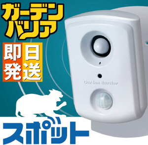 K[foA X|bg GDX-SP L悯 Lގ LQh~@ y ^JCN K㗝X L LQ L΍ L ˂ lR LNh~ lRQ Lގ lRގz