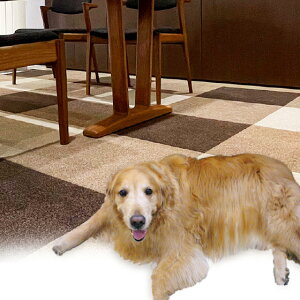 ybgƐlɂ₳ O^X ^CO XNGAy ~ 􂦂 }bg O ^C  Ȃ ybg lR  o 1 @OK J[ybg h ]|h~ 唻 t[