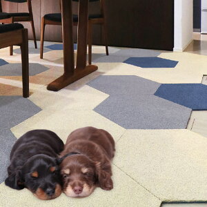 ybgƐlɂ₳ O^X ^CO wLTSy ~ 􂦂 }bg O ^C  Ȃ ybg lR  o 1 @OK J[ybg h ]|h~ 唻 t