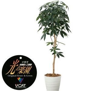 yN[|10%OFFz G}lHA@fUCpL 1.6tFCNO[ ϗtA tFCN lHϗtA ^ G}  CeA A  j    lC C 