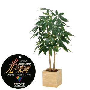 yN[|10%OFFz G}lHA Ebh{bNXpL1.0tFCNO[ ϗtA tFCN lHϗtA ^ G}  CeA A  j    lC C