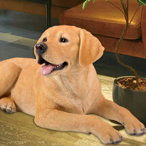 Ԃ uh[go[ { A  ^ hbO  Ck  DOG Aj}  u u IuWF  fBXvC K[fjOG G   