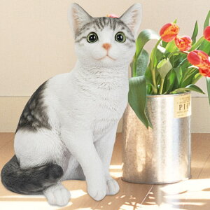 TogLij { A L L^ Lbg lR lR cat Aj}  u u IuWF  fBXvC K[fjOG   rO K[f 