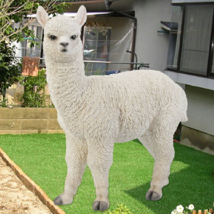楽天市場】左向きに立つアルパカ（大） 本物そっくり リアル アルパカ  