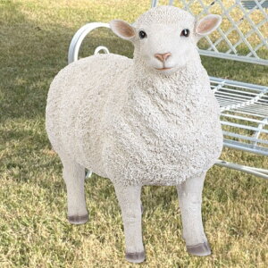 ߂rij { A r r^ Ђ V[v sheep Aj}  u u IuWF  fBXvC K[fjOG   rO K[f G  C