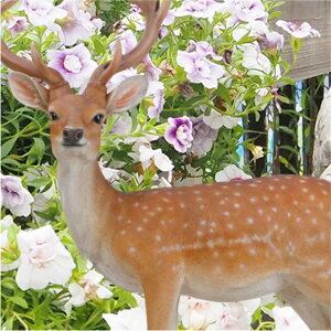 G]WJij { A  ^ VJ  deer Aj}  u u IuWF  fBXvC K[fjOG   rO K[f G  Ce