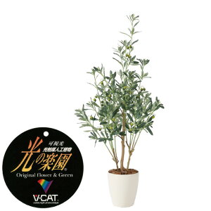 yN[|10%OFFz lHϗtA I[u1.1 tFCNO[ ϗtA tFCN lHϗtA ^ G}  CeA A  j    tBJX Ex[^ l