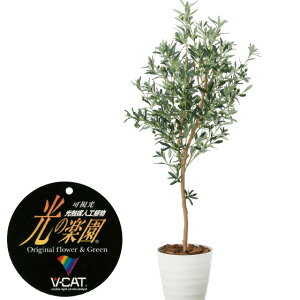 yN[|10%OFFz lHϗtA I[uc[1.6 tFCNO[ ϗtA tFCN lHϗtA ^ G}  CeA A  j    tBJX Ex