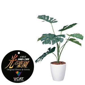 yN[|10%OFFz G}lHA Xe90tFCNO[ ϗtA tFCN lHϗtA ^ G}  CeA A  j    lC C  