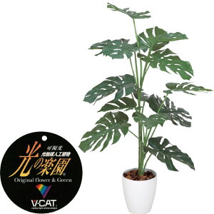 yN[|10%OFFz G}lHA Xe1.2tFCNO[ ϗtA tFCN lHϗtA ^ G}  CeA A  j    lC C  