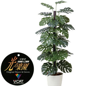 yN[|10%OFFz G}lHA Xe1.8tFCNO[ ϗtA tFCN lHϗtA ^ G}  CeA A  j    lC C  