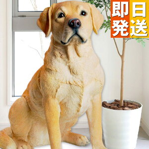 胉uh[ go[ { A  ^ hbO  Ck  DOG Aj}  u u IuWF  fBXvC K[fjOG G   r