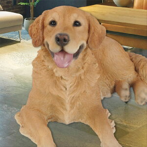 S[fgo[ { A  ^ hbO  Ck  DOG Aj}  u u IuWF  fBXvC K[fjOG G   r
