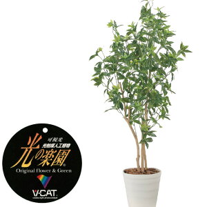 yN[|10%OFFz G}lHA fbNXtbVpL1.6 tFCNO[ ϗtA tFCN lHϗtA ^ G}  CeA A  j    l