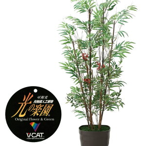 yN[|10%OFFz G}lHA |V1.6tFCNO[ ϗtA tFCN lHϗtA ^ G}  CeA A  j    lC C  