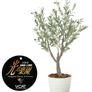 yN[|10%OFFz lϗtA fbNXI[u1.2 tFCNO[ ϗtA tFCN lHϗtA ^ G}  CeA A  j    tBJX E