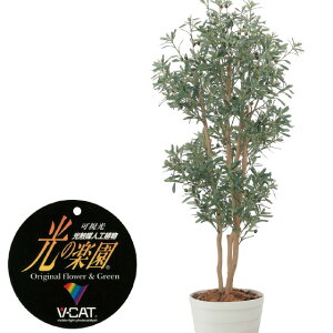 yN[|10%OFFz lϗtA fbNXI[u1.8 tFCNO[ ϗtA tFCN lHϗtA ^ G}  CeA A  j    tBJX E