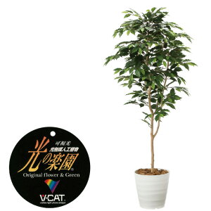 yN[|10%OFFz G}lHA xW~1.6tFCNO[ ϗtA tFCN lHϗtA ^ G}  CeA A  j    lC C  