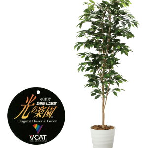 yN[|10%OFFz G}lHA xW~1.8tFCNO[ ϗtA tFCN lHϗtA ^ G}  CeA A  j    lC C  