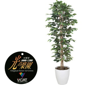 yN[|10%OFFz G}lHA xW~X1.6tFCNO[ ϗtA tFCN lHϗtA ^ G}  CeA A  j    lC C