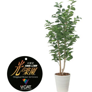 【クーポンで10%OFF】 光触媒人工植物 レモンの木1.35 フェイクグリーン 観葉植物 フェイク 人工観葉植物 大型 光触媒 造花 インテリア リアル おしゃれ お祝い 樹 木 室内 人気 空気清浄 玄関