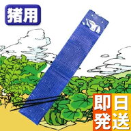 亥旦停止 猪用20枚 猪 対策 グッズ イノシシ対策 臭い 唐辛子 イノシシ撃退 いったんていし イノシシ被害…