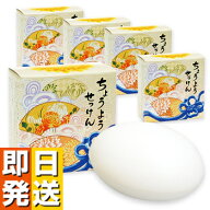 ちょうようせっけん 5個セット【 石鹸 ちょうよう QVC リピジュア ハンドソープ 固形 せっけん 洗顔石鹸 …