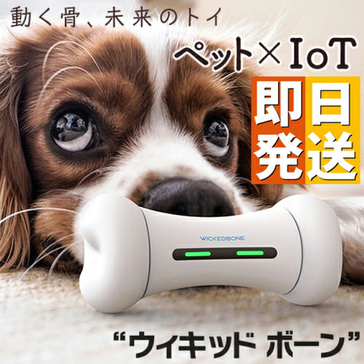楽天市場 ペット おもちゃ ウィキッドボーン 犬 猫 留守番 Wicked Bone 動く おもちゃ ペット 遊ぶ プレゼント 自動 運動 電動 ラジコン スマートフォン スマホ アプリ スマホ操作 Bluetooth 玩具 追いかける 逃げる 犬のおもちゃ 愛犬 愛猫 犬用 猫用 Pet