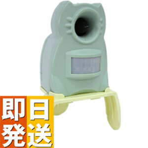 L悯 Lގ LQh~@ K[foA~j GDX-My ^JCN K㗝X L LQ L΍ L ˂ lR LNh~ lRQ Lގ lRގz