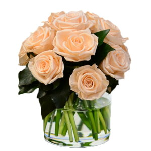 GINZA SOBI FLOWERS Premier `v~G` TCYL 4FIׂ܂I o@vU[uht[ KN@܂ŐԂ̂悤ȃXyVȃvU[uht[̃AWgłI@M