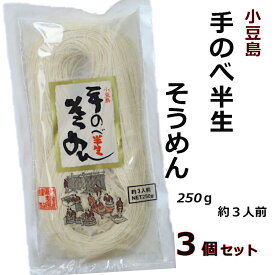 小豆島素麺 手延べ 生そうめん 3個セット 創麺屋 半なま麺 ソーメン 小豆島産 素麺 麺つゆなし 香川 名物 お取り寄せ 土産 1袋 約3人前 250g入り 簡単 時短 温かい にゅう麺【追跡可能メール便】 プチギフト プレゼント