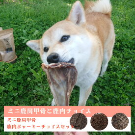 【国産 無添加 鹿肉ジャーキー】鹿ミニ肩甲骨　鹿肉ジャーキー チョイスセット 無添加 鹿骨 ボーン ジャーキー 犬 ガム 無添加 骨 ガム ジャーキー 鹿肉 ドックフード 国産 中型犬 小型犬 デンタルケア 鹿の骨 骨の おやつ やしろのめぐみ 送料無料 ショルダー